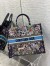 Dior Large Book Tote Bag In Blue D-Constellation Embroidery 