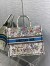 Dior Large Book Tote Bag In Latte D-Constellation Embroidery