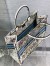 Dior Large Book Tote Bag In Latte D-Constellation Embroidery