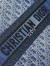 Dior Large Book Tote Bag in Blue Denim Oblique Jacquard 