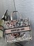 Dior Large Book Tote Bag In Multicolor La Force Embroidery