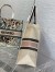 Dior Large Book Tote Bag In Multicolor La Force Embroidery