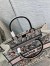 Dior Large Book Tote Bag In Multicolor La Force Embroidery