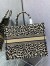 Dior Large Book Tote Bag In Beige Multicolor Mizza Embroidery