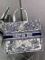 Dior Large Book Tote Bag In Around The World Embroidered Canvas