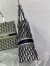 Dior Large Book Tote Bag In Blue Dior Oblique Embroidery
