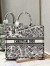 Dior Large Book Tote Bag In White Plan de Paris Embroidery
