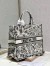 Dior Large Book Tote Bag In White Plan de Paris Embroidery