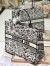 Dior Large Book Tote Bag In White Plan de Paris Embroidery
