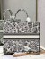Dior Large Book Tote Bag In White Plan de Paris Embroidery
