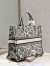 Dior Large Book Tote Bag In White Plan de Paris Embroidery