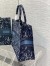 Dior Large Book Tote Bag In Blue Dior Roses Embroidery 