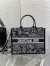 Dior Medium Book Tote Bag with Strap in Plan de Paris Embroidery and Black Calfskin