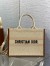 Dior Medium Book Tote Bag with Strap in Beige Oblique Embroidered Raffia