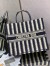 Dior Large Book Tote Bag In Blue Stripes Embroidery