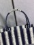 Dior Large Book Tote Bag In Blue Stripes Embroidery
