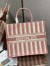 Dior Large Book Tote Bag In Pink Stripes Embroidery