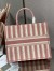 Dior Large Book Tote Bag In Pink Stripes Embroidery