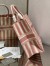 Dior Large Book Tote Bag In Pink Stripes Embroidery