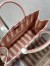 Dior Large Book Tote Bag In Pink Stripes Embroidery