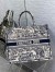 Dior Large Book Tote Bag In Blue Toile de Jouy Embroidery