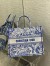 Dior Large Book Tote Bag In Blue Transparent Toile de Jouy Canvas