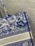 Dior Large Book Tote Bag In Blue Transparent Toile de Jouy Canvas