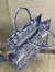 Dior Large Book Tote Bag In Blue Transparent Toile de Jouy Canvas