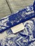 Dior Large Book Tote Bag In Blue Transparent Toile de Jouy Canvas