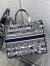 Dior Large Book Tote Bag In Blue Toile de Jouy Stripes Embroidery