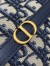 Dior 30 Montaigne Cigale Mini Bag in Blue Oblique Jacquard