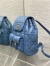 Dior Caro Medium Backpack in Blue Macrocannage Lambskin
