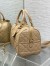 Dior Groove 25 Bag in Biscuit Macrocannage Calfskin
