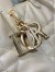 Dior Toujours Vertical Small Tote Bag in Beige Macrocannage Calfskin