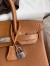 Hermes Touch Birkin 30 Bag in Gold Clemence and Matte Alligator Leather 