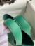 Hermes Picotin Lock 22 Handmade Bag in Vert Vertigo Clemence Leather