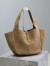 Saint Laurent LE 5 À 7 Bea Bag in Golden Leaf Suede Leather