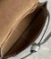 Loewe Gate Dual Mini Bag in Ash Grey Calfskin with Jacquard Shoulder Strap