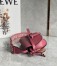 Loewe Gate Dual Mini Bag in Plumrose Calfskin with Jacquard Shoulder Strap