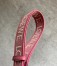 Loewe Gate Dual Mini Bag in Plumrose Calfskin with Jacquard Shoulder Strap