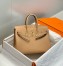 Hermes Birkin 25cm Bag in Chai Clemence Leather with GHW