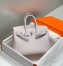 Hermes Birkin 25cm Bag in Mauve Pale Clemence Leather with PHW