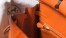 Hermes Birkin 25cm Bag in Orange Clemence Leather with GHW