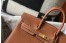 Hermes Birkin 25cm Bag in Gold Clemence Leather with GHW