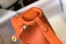 Hermes Lindy Mini Bag in Orange Clemence Leather with GHW