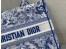 Dior Medium Book Tote Bag In Blue Transparent Toile de Jouy Canvas