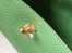 Hermes Lindy Mini Bag in Vert Criquet Clemence Leather with GHW