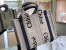 Chloe Small Woody Tote Bag in Canvas with Blue Leather Strips 