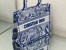 Dior Medium Book Tote Bag In Blue Transparent Toile de Jouy Canvas