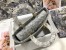 Dior Lady D-Lite Large Bag in Grey Toile de Jouy Reverse Embroidery